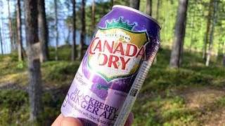 Canada Dry Blackberry Ginger Ale Review