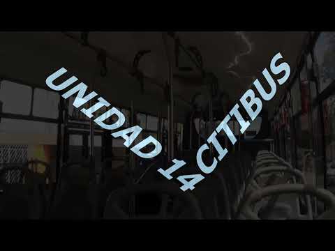 Compañía CITIBUS - UNIDAD 14 Lujo y Distinción