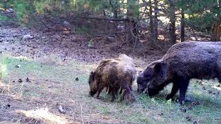 Spil Dağı Milli Parkı