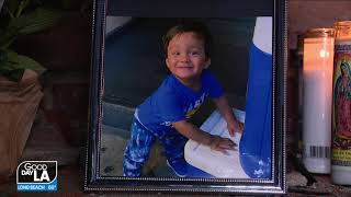 Toddler killed in hit-and-run crash in North Hills