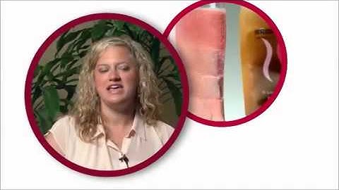 Plexus Slim Reviews Accelerator