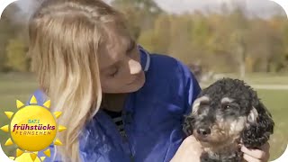 "Auf die Schnauze! Haustiere und ihre Promis" mit Jule Gölsdorf | SAT.1 Frühstücksfernsehen