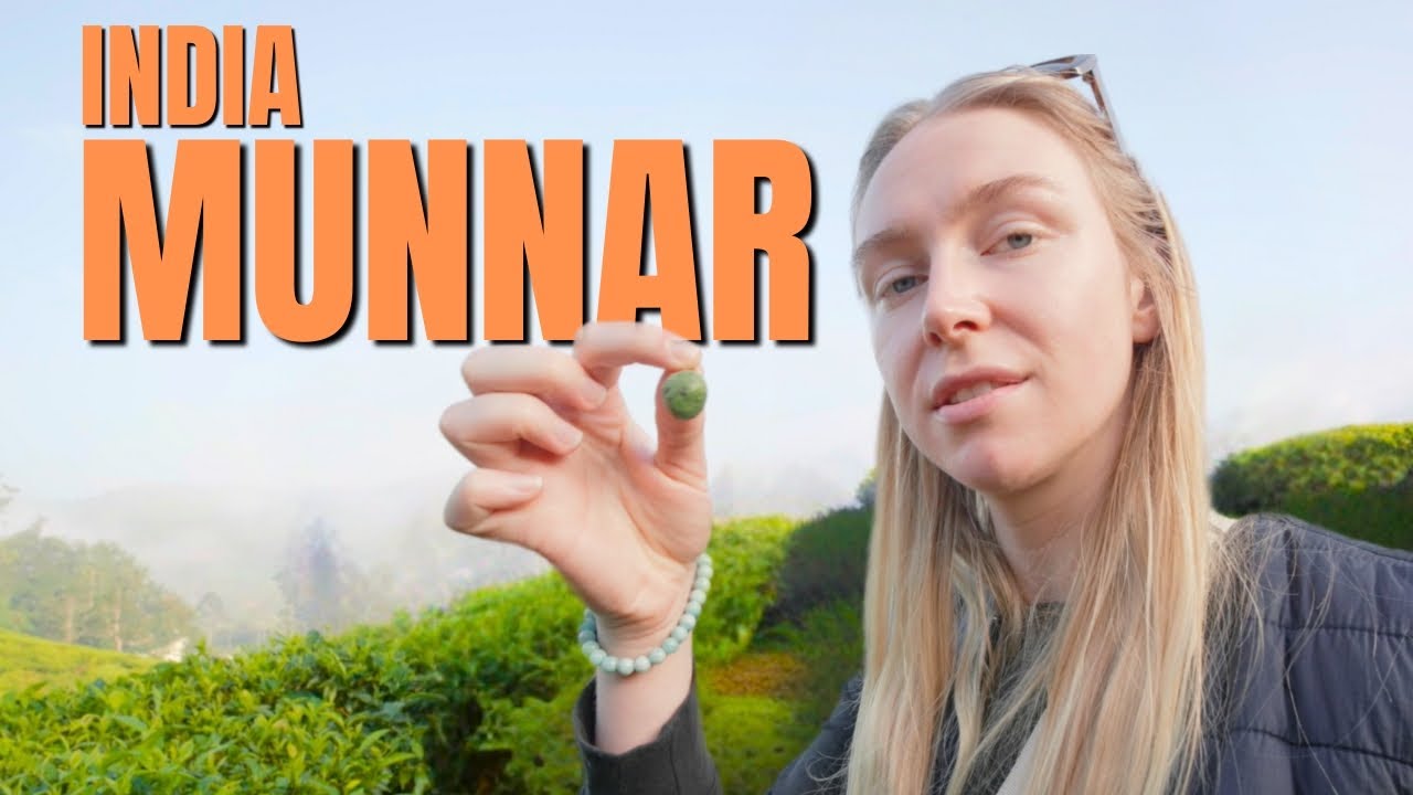 2 DAY ITINERARY in MUNNAR | The Most Beautiful Place in Kerala, India 🇮🇳