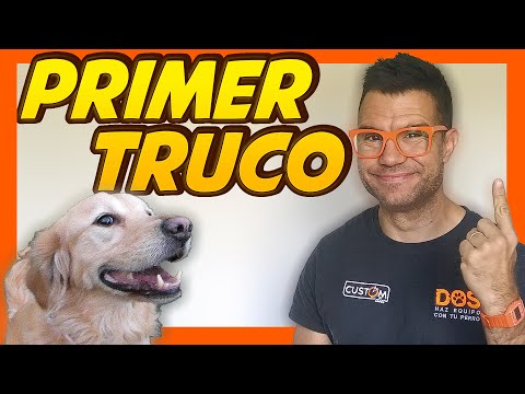 🔥 Como Enseñar