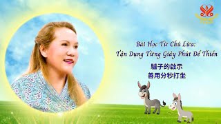 A Donkey Lesson: Use Every Second to Meditate | SupremeMasterTV.com