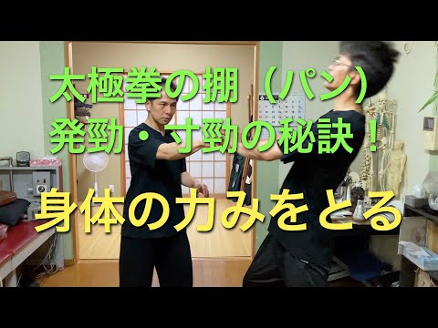 太極拳の掤（パン）、発勁・寸勁の秘訣！ 身体の力みをとる - YouTube