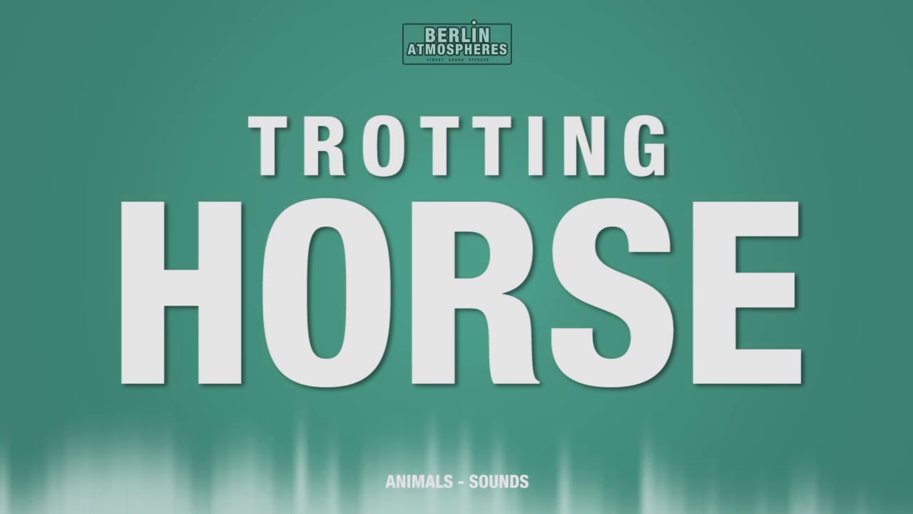 Horse SOUND EFFECT Cantering Trotting Horse SOUNDS Pferd SFX YouTube