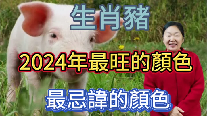 生肖豬！2024年最旺的顏色！屬豬人龍年最忌諱的顏色！選對顏色能招來好運！錢財滾滾來！一整年都順風順水！平安吉祥！#生肖 #運勢 #顏色 - 天天要聞