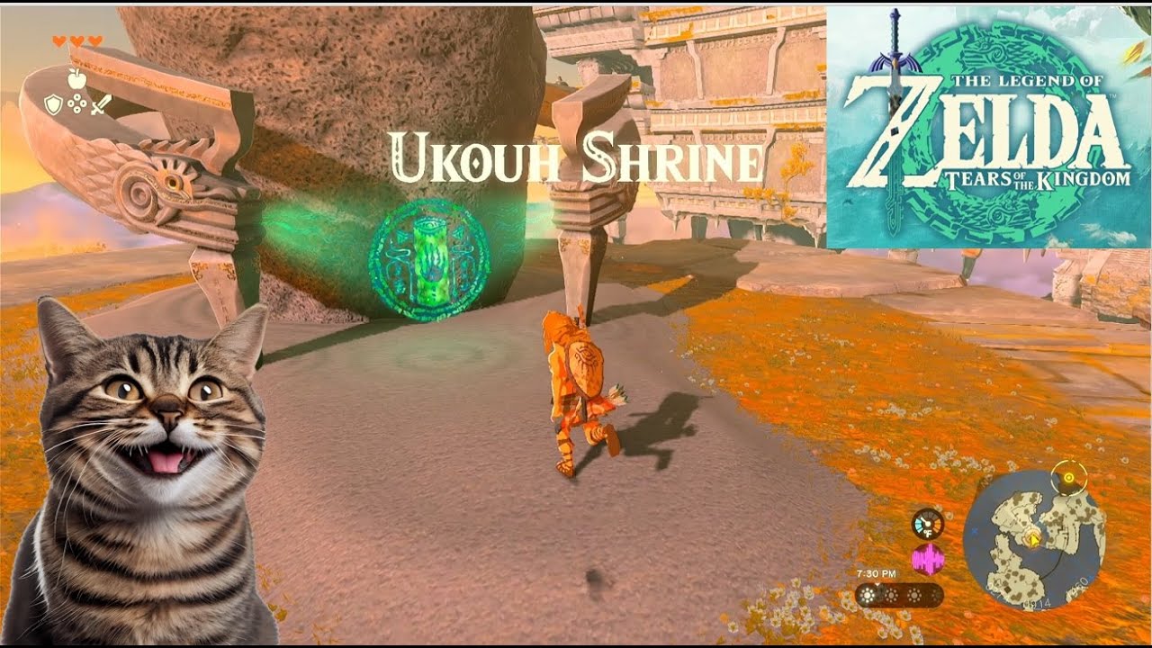 Legend of Zelda:Tears of the Kingdom Ukouh Shrine Solved Using Wooden Boards!