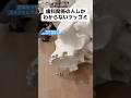 歯科関係の人しかわからないツッコミ#Shorts