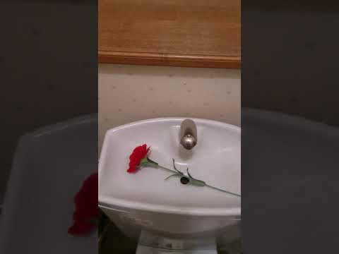 便所のタンクの上の専門の花  母の日カーネーションバージョン