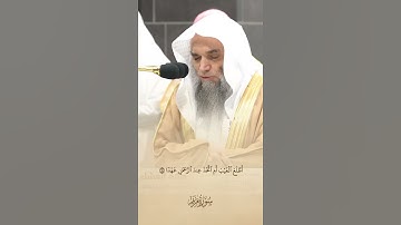 أَفَرَأَيْتَ الَّذِي كَفَرَ بِآيَاتِنَا. تلاوة الشيخ فيصل غزاوي تلاوة جميلة سورة مريم.