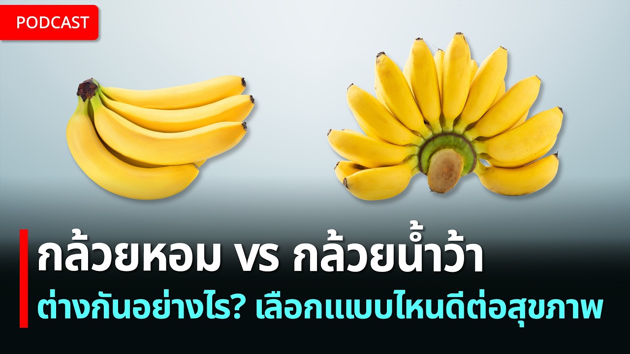 กล้วยหอม vs กล้วยน้ำว้า ต่างกันอย่างไร? เลือกแบบไหนให้ดีต่อสุขภาพ | เรื่อง (ไม่) รู้รอบตัว