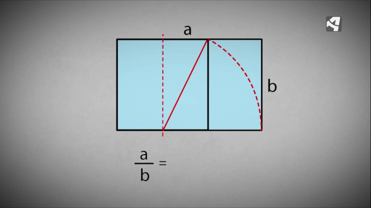 ¿Qué es el número de oro? - En Ruta Con La Ciencia