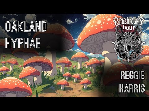 Oakland Hyphae | Reggie Harris