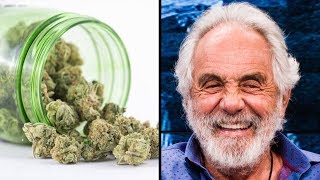 Tommy Chong Talks About Legal Weed EVERYWHERE