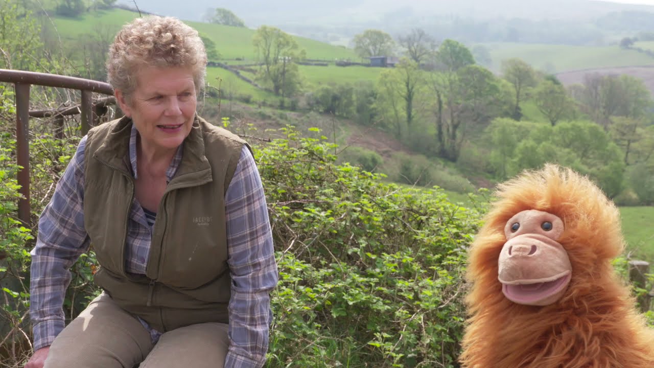 Profiad Gwaith Gareth! Y Fferm