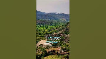 تلاوة خاشعة بصوت يريح الأعصاب تلاوة تريح القلب #elmulquranعلم #قران_كريم #اكسبلور #تلاوة #trend
