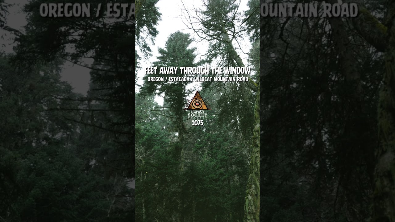 Bigfoot of Estacada, Oregon