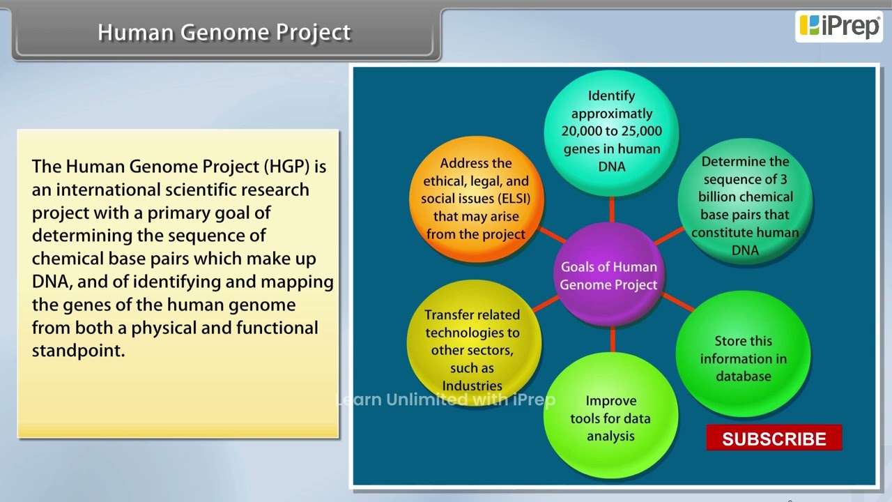 Human Genome Project Goals The Human Genome Project Turns 20: Here's