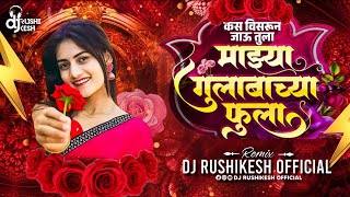 Kas Visrun Jau Tula G Mazya Gulabachya Fula DJ | Kiti Mag Tuzya Lagin Kiti Ratila Jagav | Halgi Mix