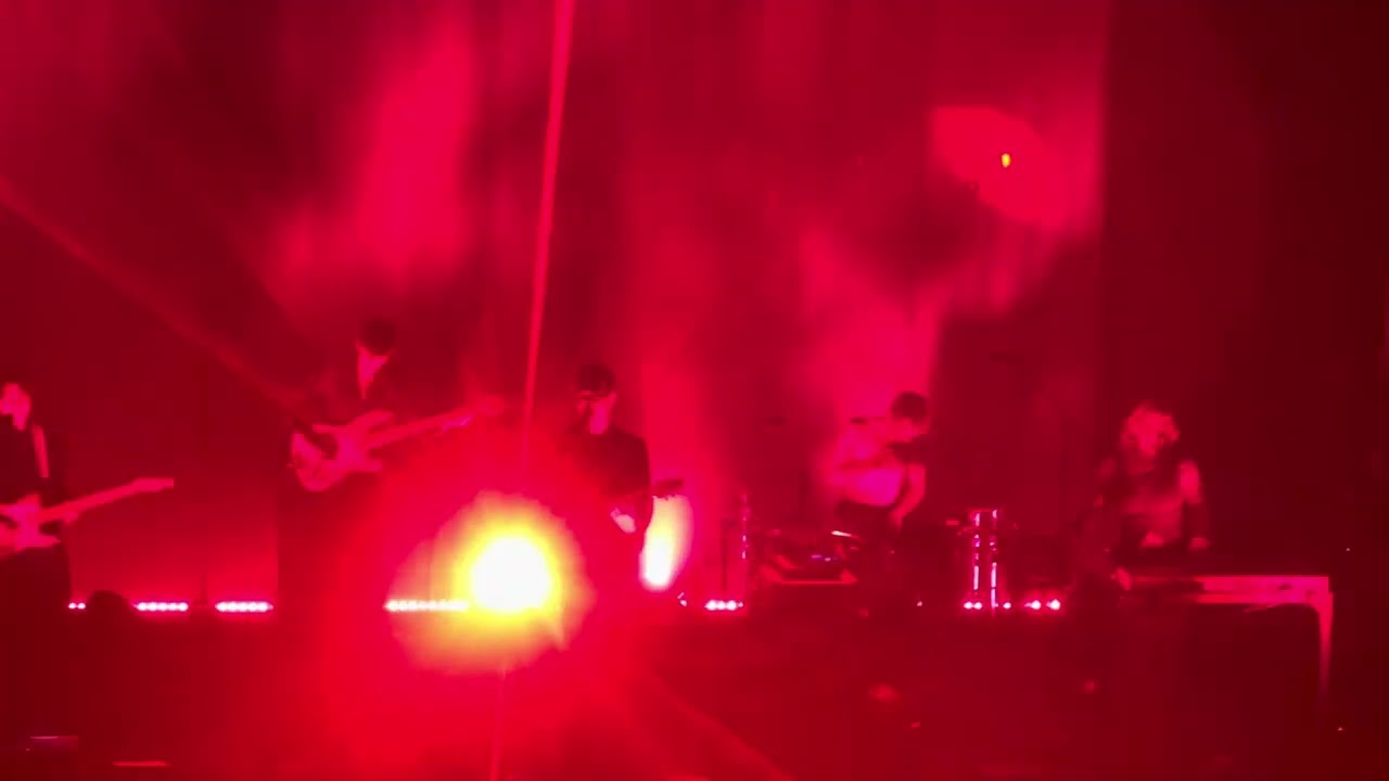 Gus Dapperton - My Favorite Fish (Live From Vancouver)2023/9/26