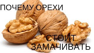 Почему орехи стоит замачивать? Почему орехи стоит замачивать?