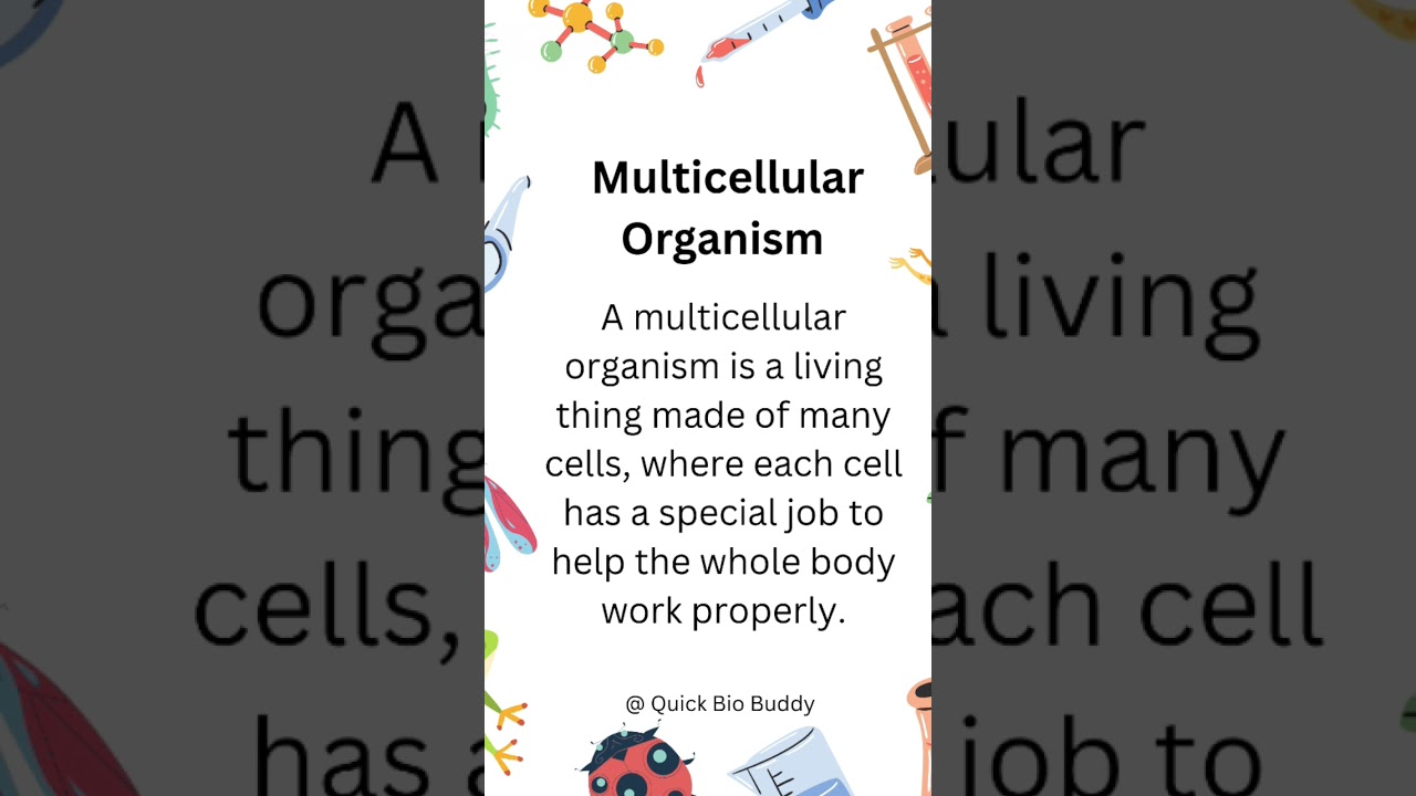 What is a multicellular organism? | Quick Bio Buddy 