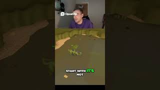 Day 23 of kicking Elvarg to death challenge #runescape #osrs #oldschoolrunescape #gaming #challenge