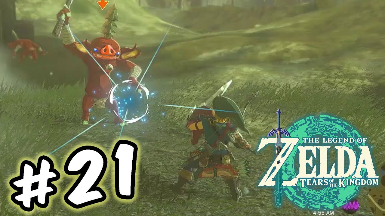 The Legend of Zelda: Tears of the Kingdom - Walkthrough Part 21 | Tabantha Area Exploration |