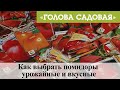 Голова садовая - Как выбрать помидоры урожайные и вкусные