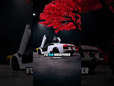 1/20 Versace Lamborghini Murcielago LP640