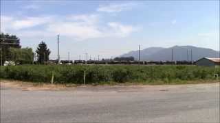 Cp Sumas Wayfreight South Matsqui Bc 01Aug14 Gp38Ac 3006 Leading