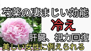 芍薬の花茶の凄まじい効果！肝臓回復して視力回復。芍薬を栽培しよう！