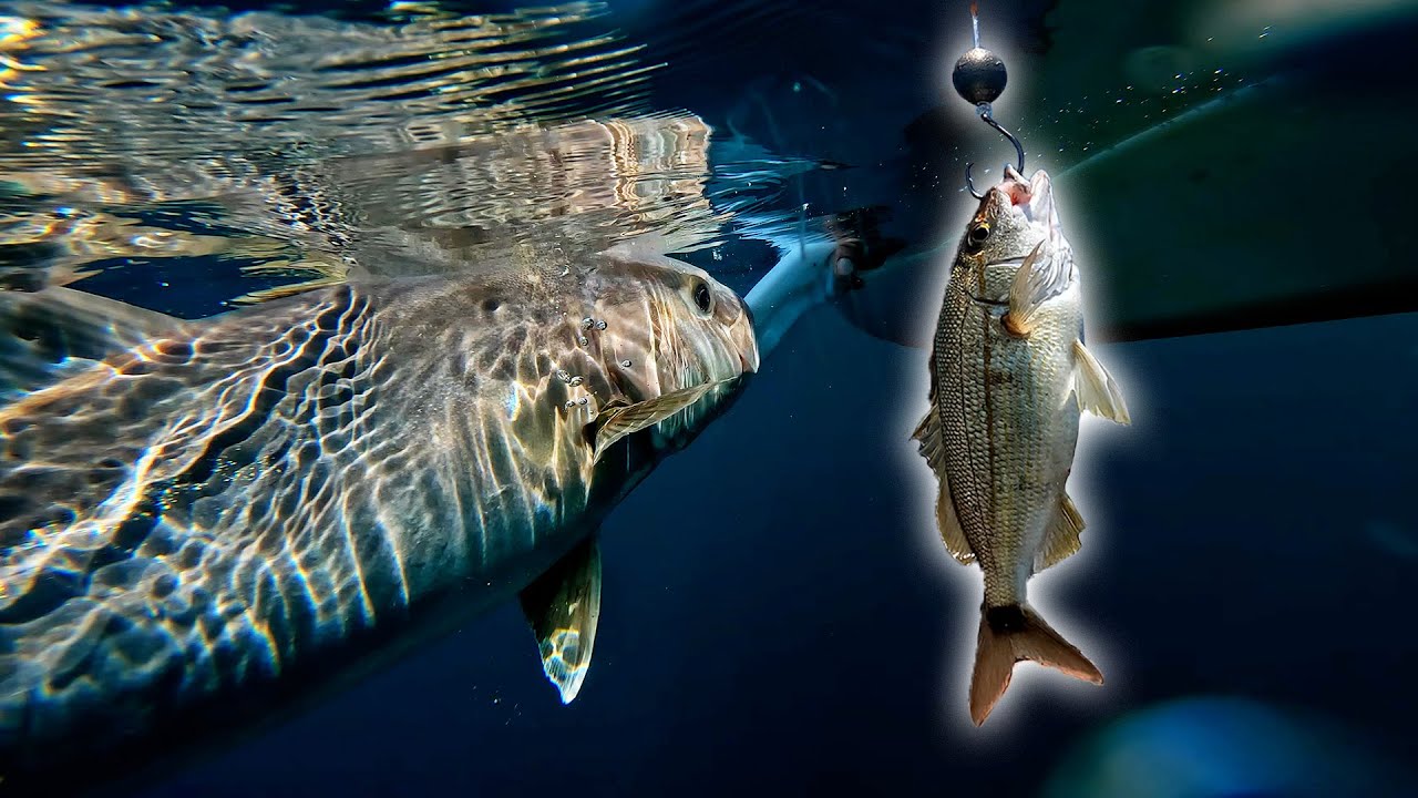 Dropping BIG Baits While Offshore Kayak Fishing! PLUS Giveaway Details