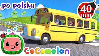 Koła autobusu | CoComelon po polsku | Piosenki dla dzieci