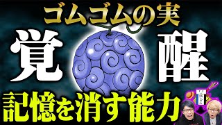 真の能力判明 空白の100年はゴムゴムの実で消した もう一つの名を持つ悪魔の実について徹底考察 ワンピース 1037話 ジャンプネタバレ注意 考察 Youtube