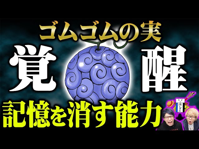 真の能力判明！空白の100年はゴムゴムの実で消した！？もう一つの名を