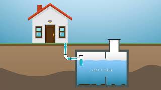 Bacto Magic Septic Tank Clenar