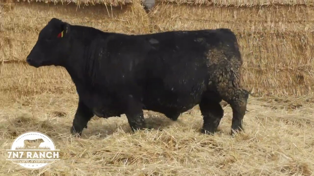 Lot 11 7n7 RailBender M429