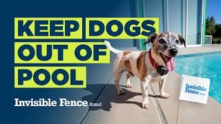Pool Safety for Dogs | Invisible Fenceยฎ Brand