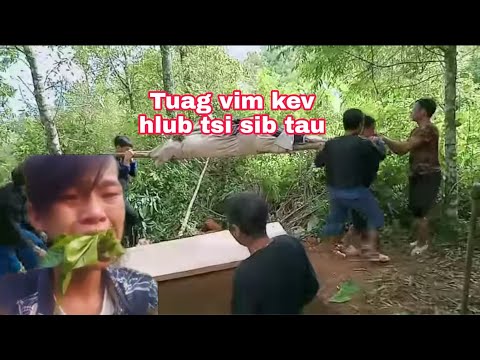 Video: 4 Txoj Hauv Kev Kom Tshem Tawm Wasps ntawm Tsev