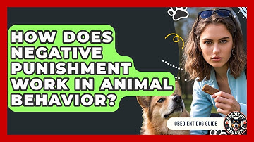 How Does Negative Punishment Work In Animal Behavior? - Obedient Dog Guide