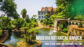 Madeira Botanical Garden Free Stock Video Romance Post Bd