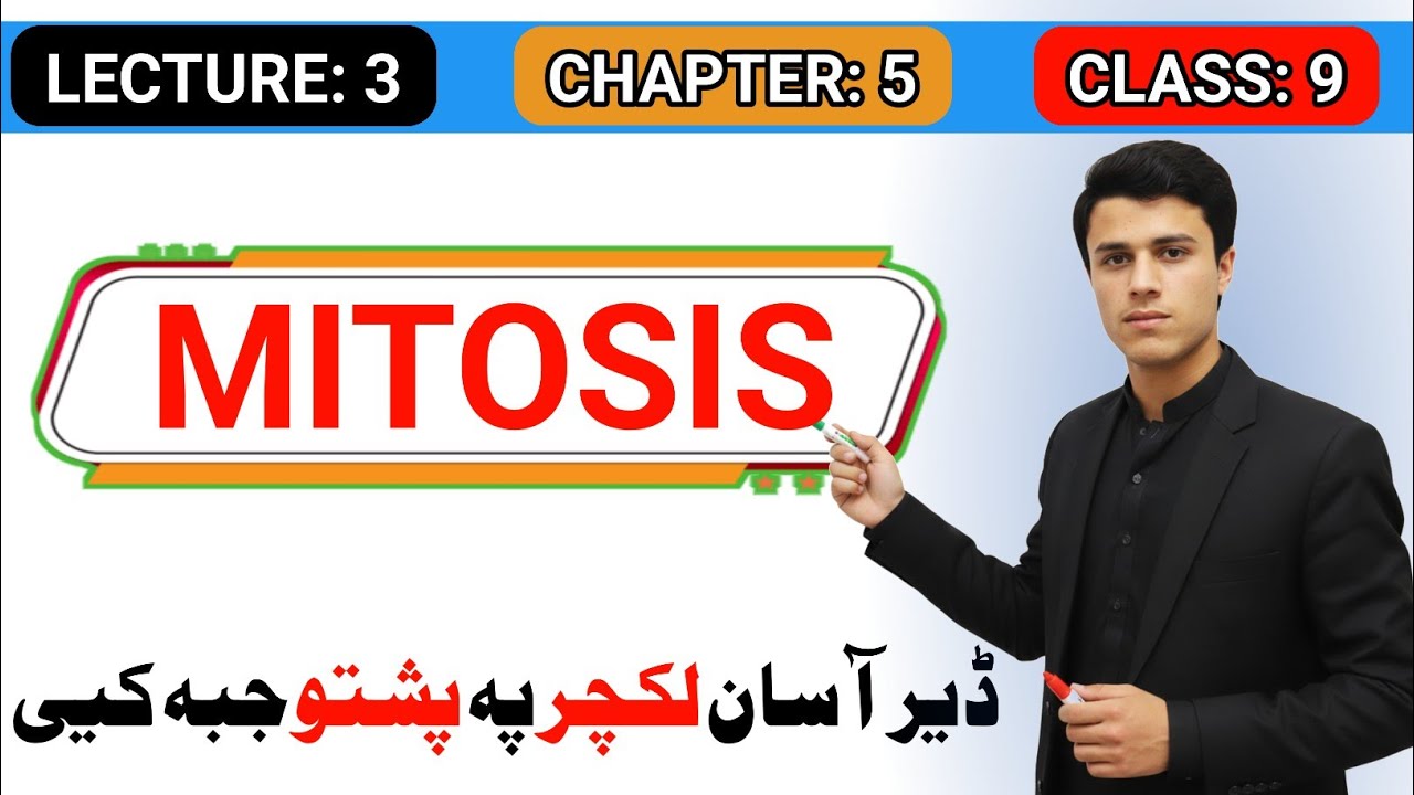 Mitosis Class 9 in Pashto | Biology Class 9 Chapter 5 Pashto | Lecture 3 | Division Phase | 