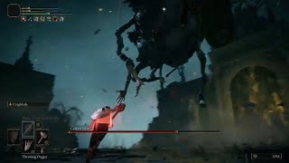 Elden Ring - Grafted Scion (RL1 NG+7, No Damage)