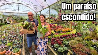 Visitando um dos maiores gardens de Teresópolis | Arabotânica Garden(e comprei um presente especial)