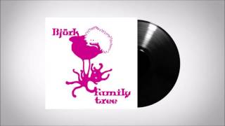 Björk - The Modern Things (Demo Version)