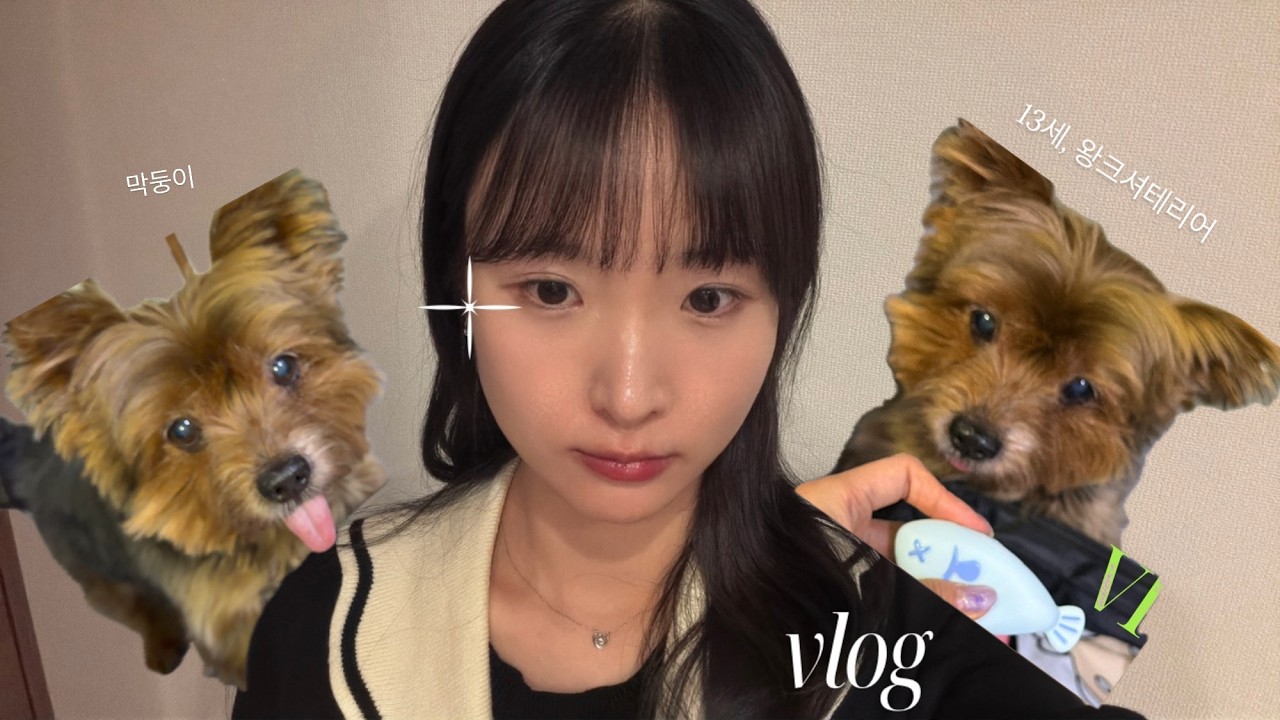 vlog | 춥지않은 겨울, 2월의 일본일상 브이로그🤍🤎 (feat. 귀요미들)