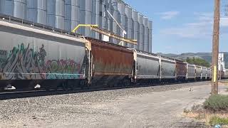 Union Pacific SD70ACe 8537 pulling a long train in Soda Springs ID 